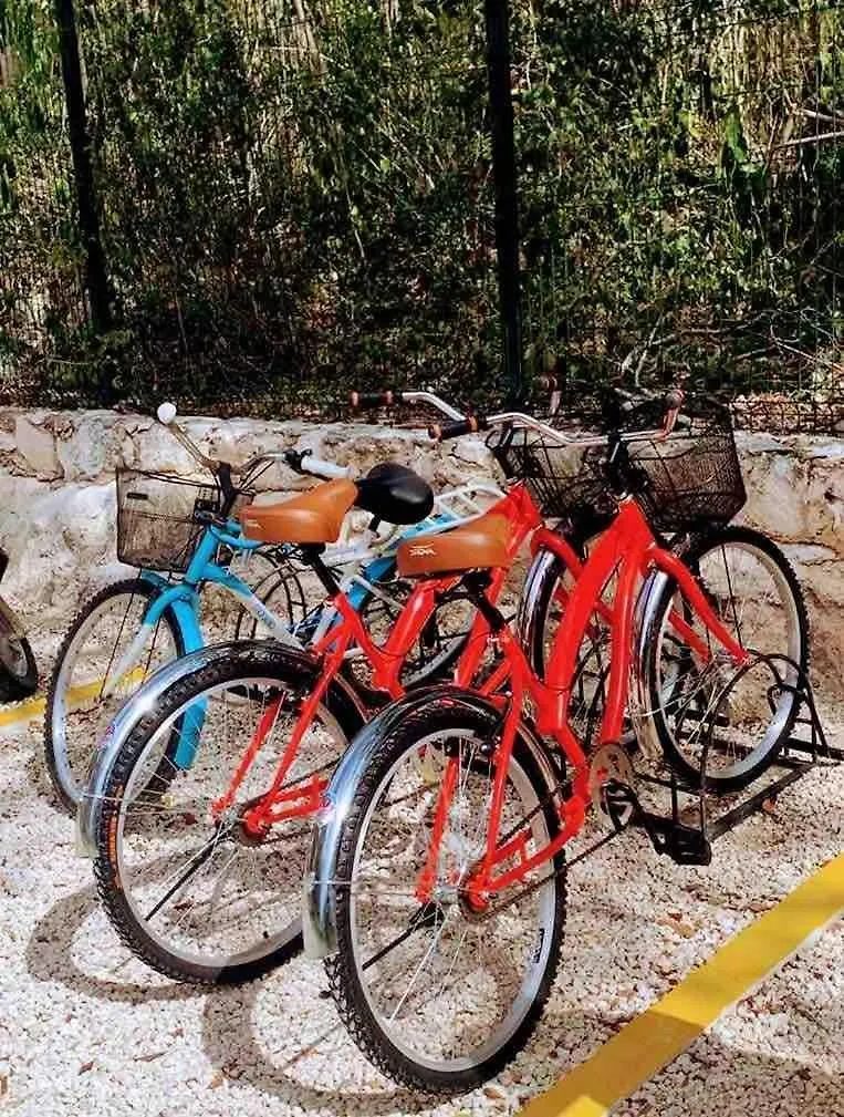 شقة Pool, Bikes, Jungle View And Good Vibes تولوم